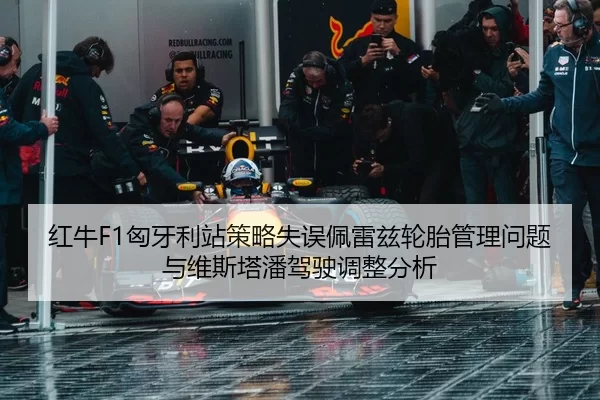 hong-niu-xiong-ya-li-zhan-ce-lve-shi-wu-pei-lei-zi-lun-tai-guan-li-wen-ti-yu-wei-si-ta-pan-jia-shi-tiao-zheng-fen-xi-3-708.jpg