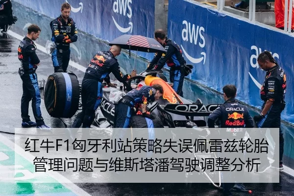 红牛F1匈牙利站策略失误佩雷兹轮胎管理问题与维斯塔潘驾驶调整分析